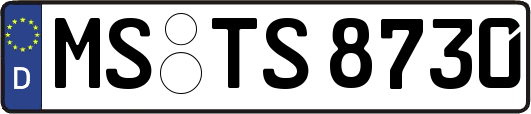 MS-TS8730