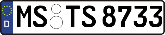 MS-TS8733