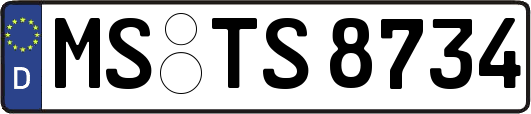 MS-TS8734