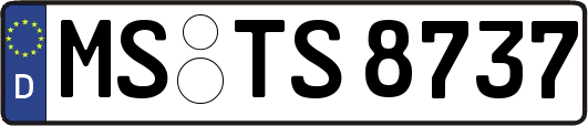 MS-TS8737