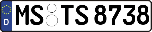 MS-TS8738