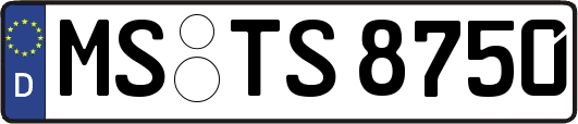 MS-TS8750