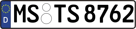 MS-TS8762