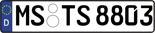 MS-TS8803