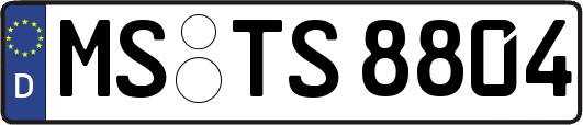 MS-TS8804