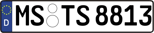 MS-TS8813
