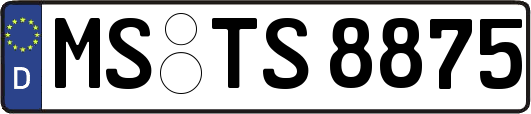 MS-TS8875