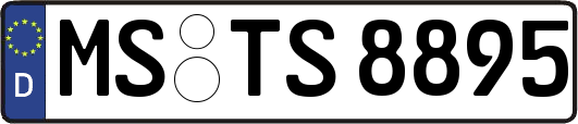 MS-TS8895