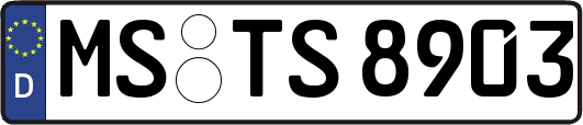 MS-TS8903
