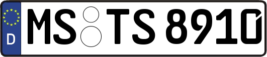 MS-TS8910