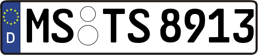 MS-TS8913