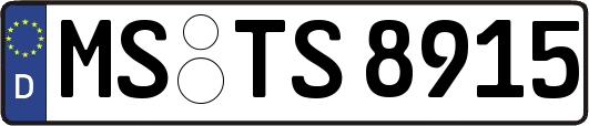 MS-TS8915
