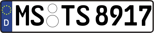 MS-TS8917