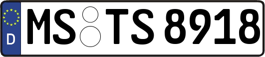 MS-TS8918