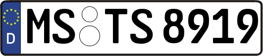 MS-TS8919