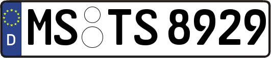 MS-TS8929