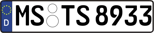 MS-TS8933