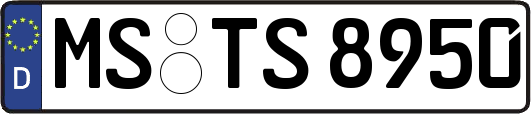 MS-TS8950