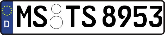 MS-TS8953