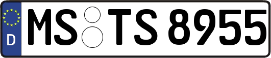 MS-TS8955