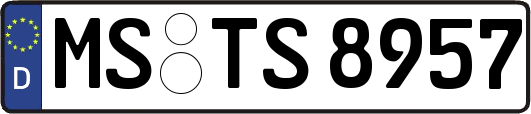 MS-TS8957