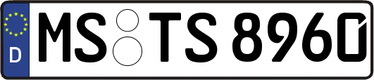 MS-TS8960