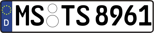 MS-TS8961