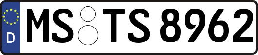 MS-TS8962