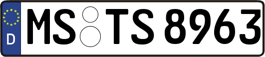 MS-TS8963