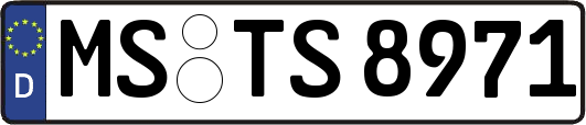 MS-TS8971