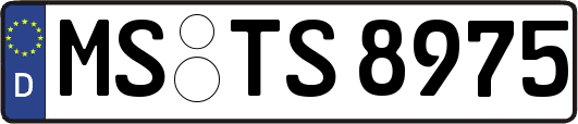 MS-TS8975