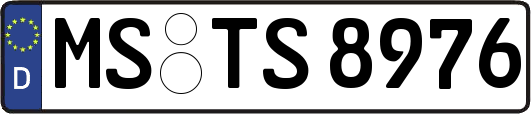 MS-TS8976