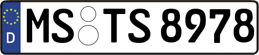 MS-TS8978