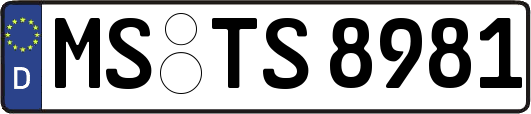 MS-TS8981