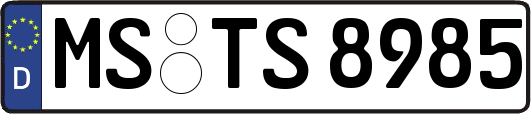 MS-TS8985