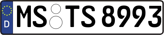 MS-TS8993