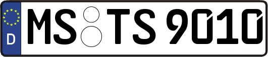MS-TS9010