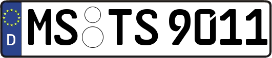 MS-TS9011