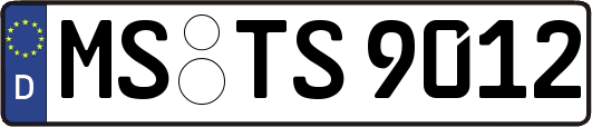 MS-TS9012
