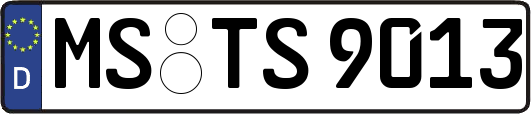 MS-TS9013