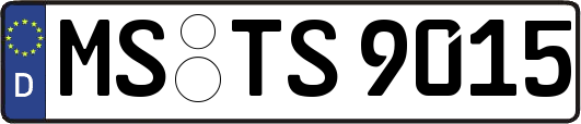 MS-TS9015