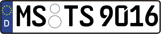 MS-TS9016