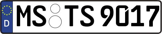 MS-TS9017