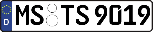 MS-TS9019