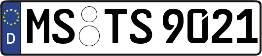 MS-TS9021