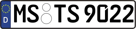 MS-TS9022