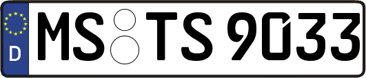 MS-TS9033