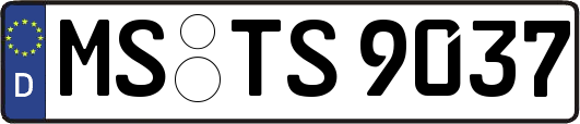 MS-TS9037