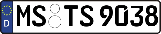 MS-TS9038