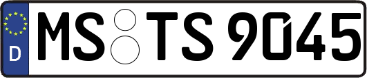 MS-TS9045